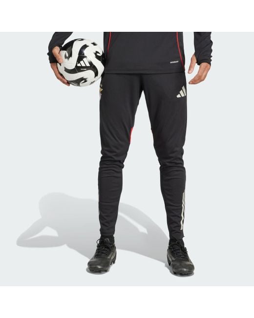 Adidas Gray Benfica Tiro 25 Competition Training Pants for men