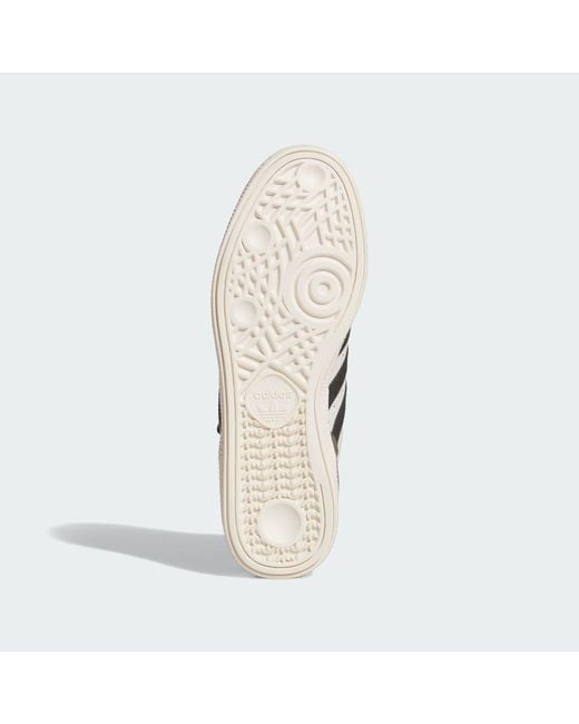 Adidas Multicolor Busenitz Shoes for men