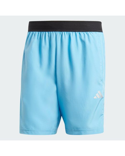 Adidas Blue Gym Training Shorts for men