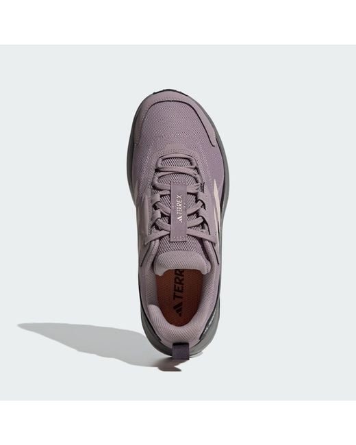 Adidas Gray Terrex Anylander Hiking Shoes