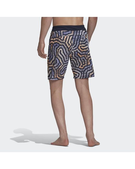 Adidas Blue Classic-length Colour Maze Tech Board Shorts for men