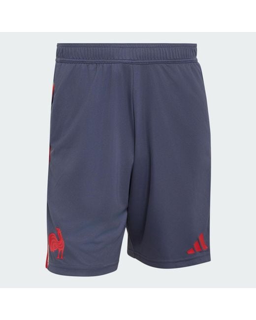 Adidas Blue France Rugby Gym Shorts for men