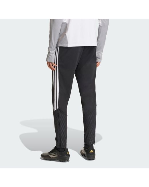 Adidas Blue Tiro 26 Competition Training Pants for men