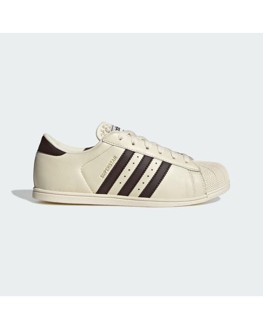 Adidas Multicolor Superstar Lo Pro Shoes