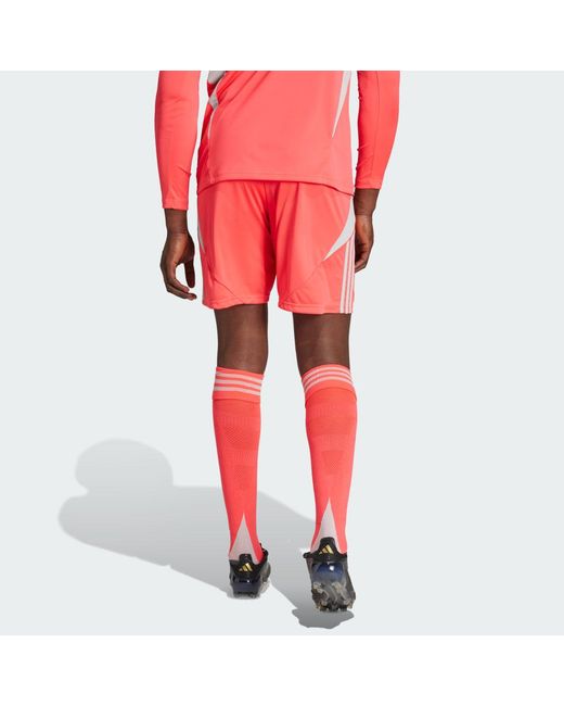 Adidas Red Tiro 24 Shorts for men