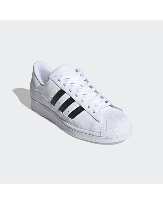 adidas white superstar