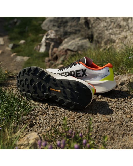 Adidas White Terrex Agravic 4 Trail Running Shoes for men