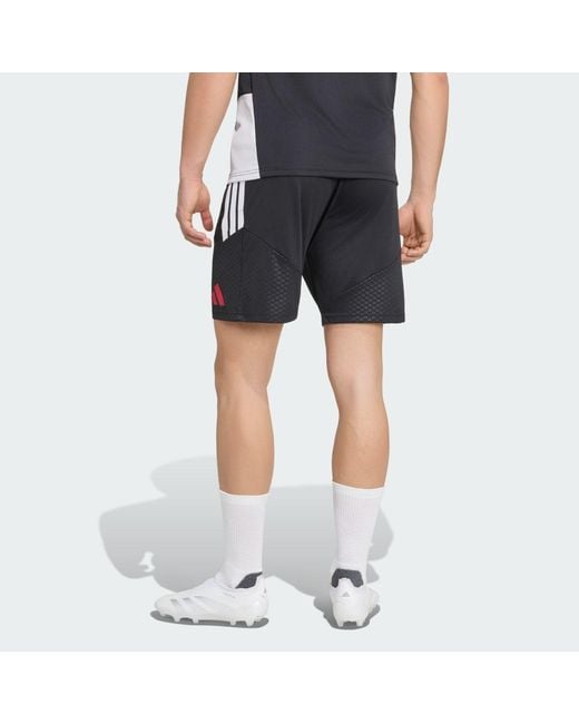 Adidas Blue Liverpool Fc 26/27 Tiro Training Shorts for men