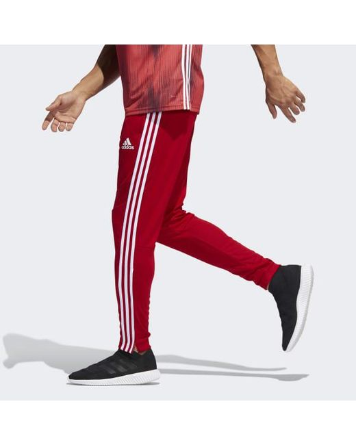 red training pants