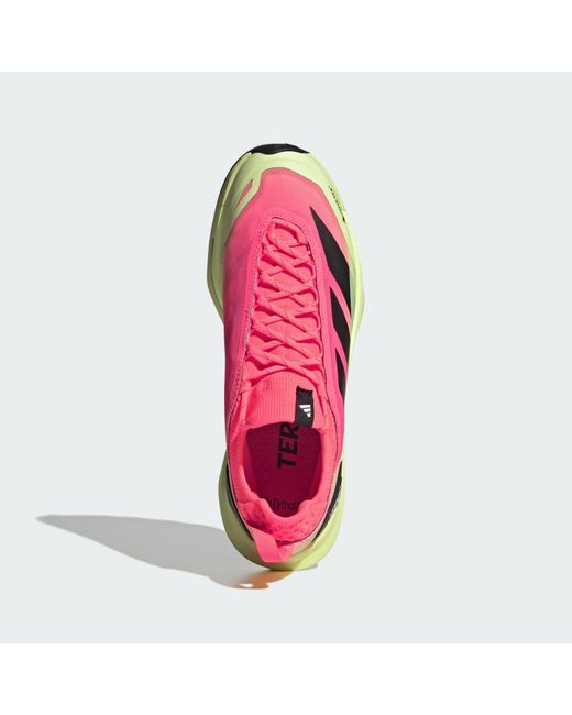 Adidas Multicolor Terrex Skychaser Speed Gore-Tex Hiking Shoes for men