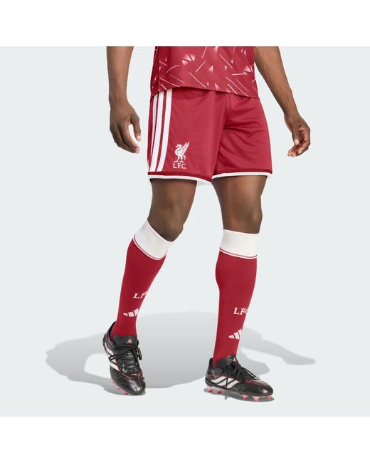 Adidas Red Liverpool Fc 26/27 Home Shorts for men