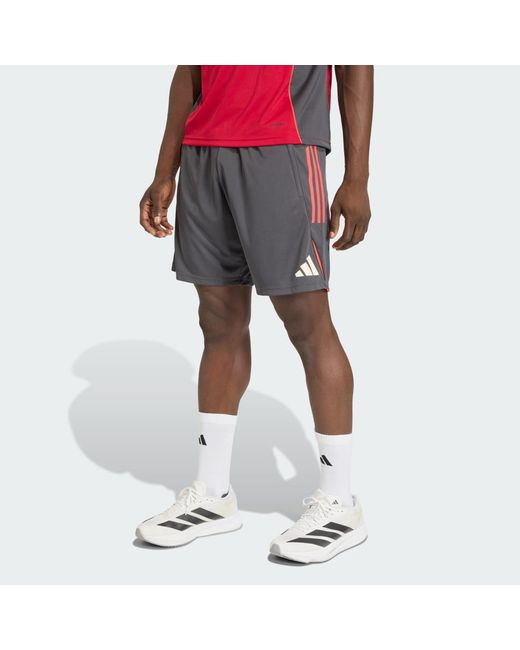 Adidas Shorts FC LIVERPOOL TIRO 25 COMPETITION TRAININGSSHORTS (1-tlg) in Black für Herren