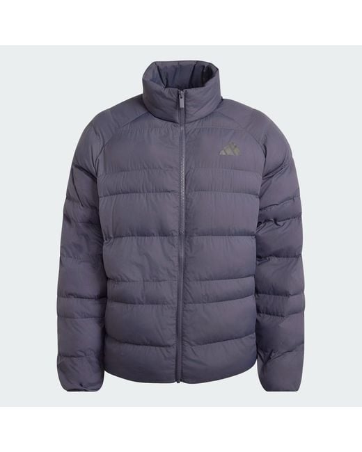 Adidas Blue Essentials Packable Insulated Jacket for men