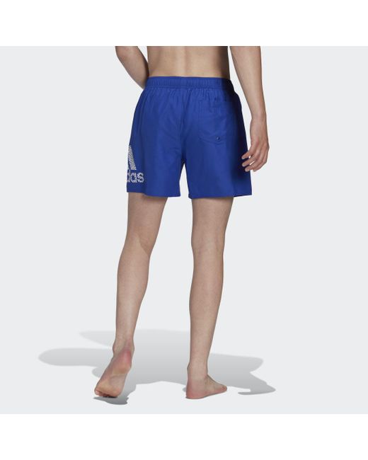 Clx Short Length Swim di Adidas in Blue da Uomo
