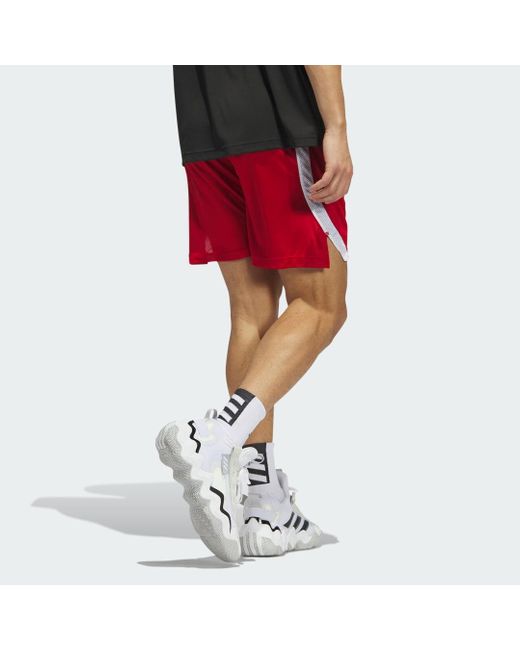 Adidas Red Icon Squad Shorts for men
