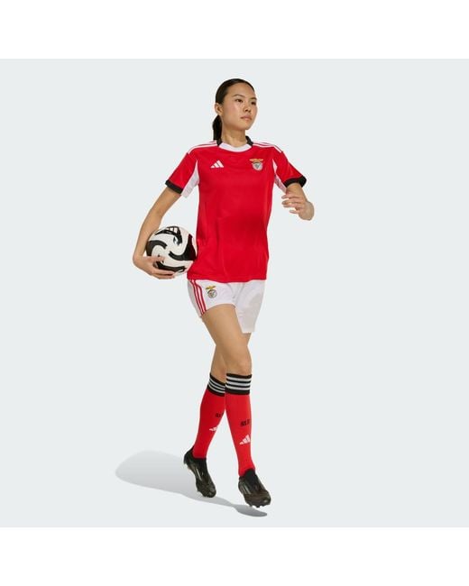 Adidas Red Benfica 25/26 Home Shorts