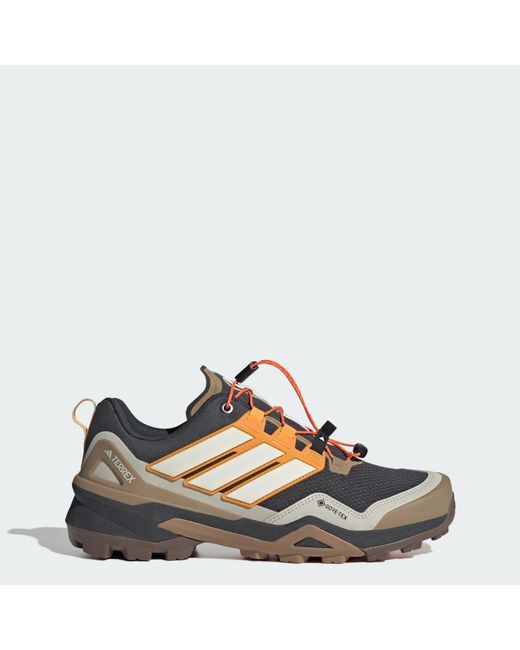 Adidas Multicolor Terrex Skychaser Gore-Tex Hiking Shoes for men