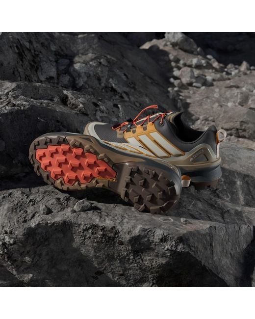 Adidas Multicolor Terrex Skychaser Gore-Tex Hiking Shoes for men