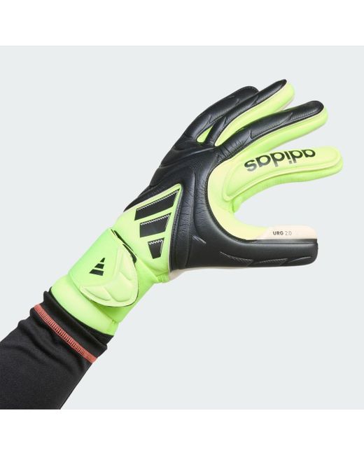 Guanti Copa Pro Portiere di Adidas in Green