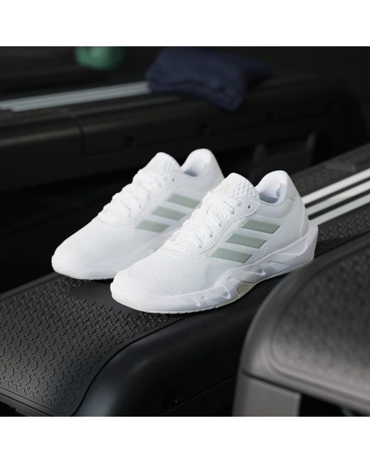 Adidas White Amplimove Training Shoes