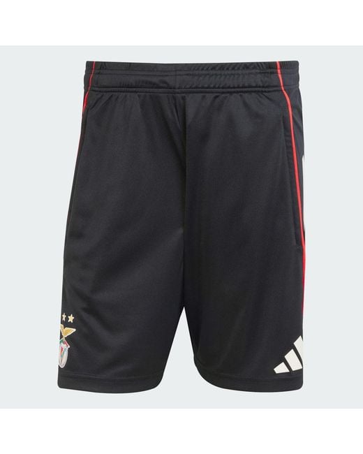 Adidas Blue Benfica Tiro 25 Competition Training Shorts for men