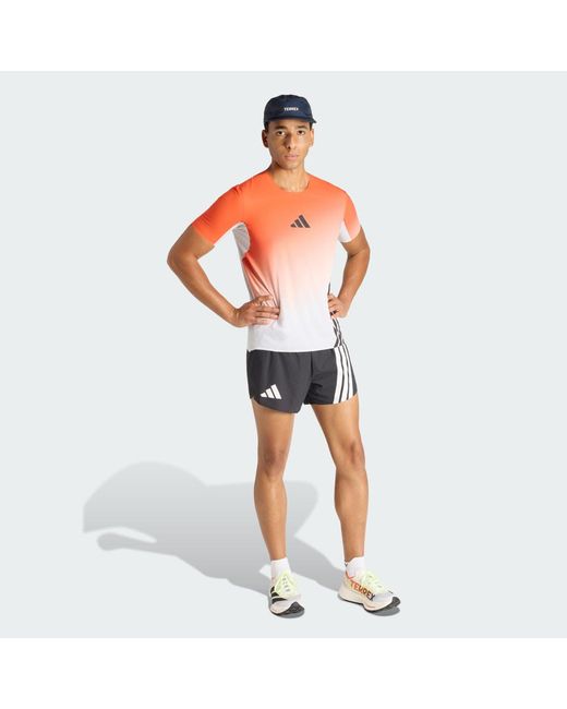 Adidas Blue Terrex Xperior Pro Aero Shorts for men