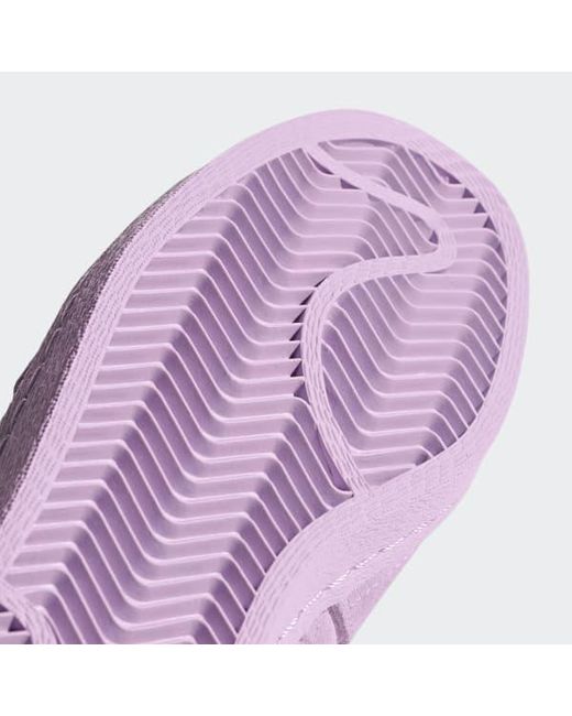 superstar adidas purper