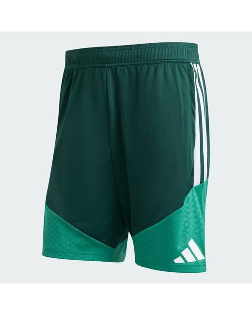 Adidas Green Algeria 26 Training Shorts for men