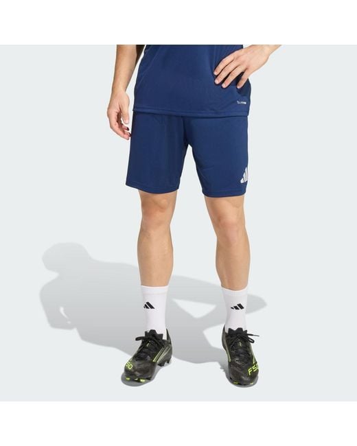 Adidas Blue Entrada26 Shorts for men