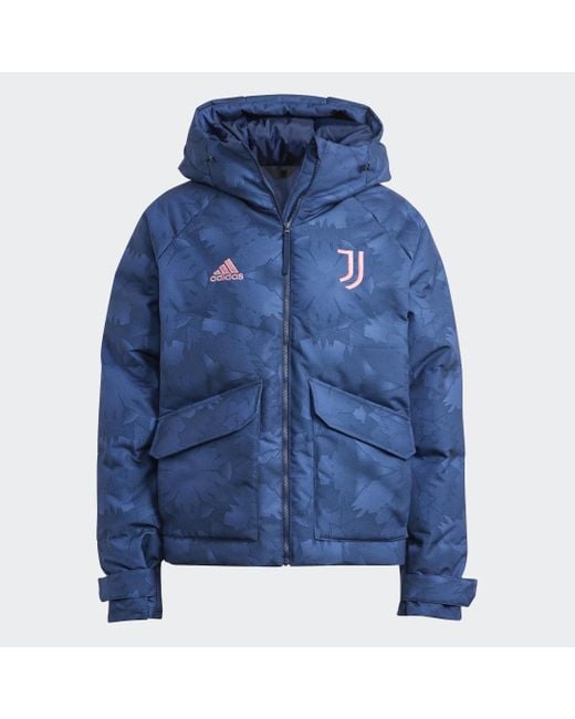 Adidas Blue Juventus Lifestyler Down Jacket for men
