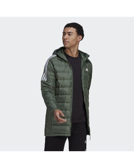Adidas Essentials Donsparka in het Green voor heren