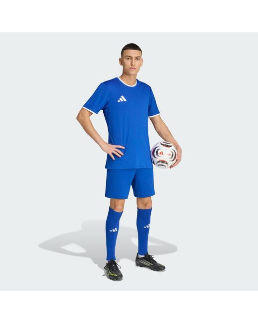 Adidas Blue Entrada26 Jersey for men