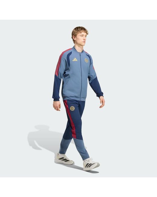 Adidas Blue Fc Bayern 26/27 Presentation Tracksuit Bottoms for men