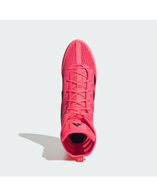 Adidas Pink Box Hog Shoes