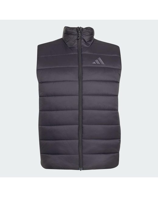 Adidas Blue Terrex Multi Essentials Climawarm Padded Vest for men