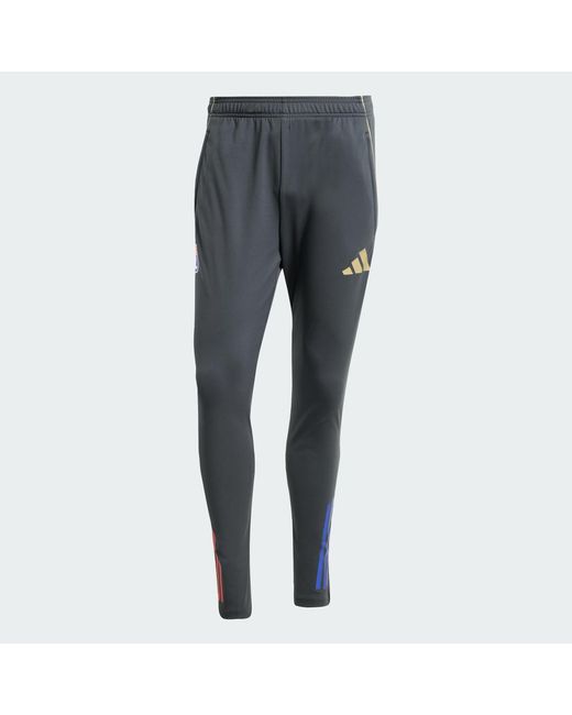 Adidas Gray Olympique Lyonnais Tiro 25 Competition Training Pants for men
