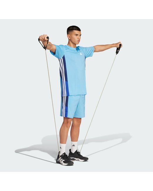 Adidas Blue Train Essentials Seasonal Colorblock Tee for men
