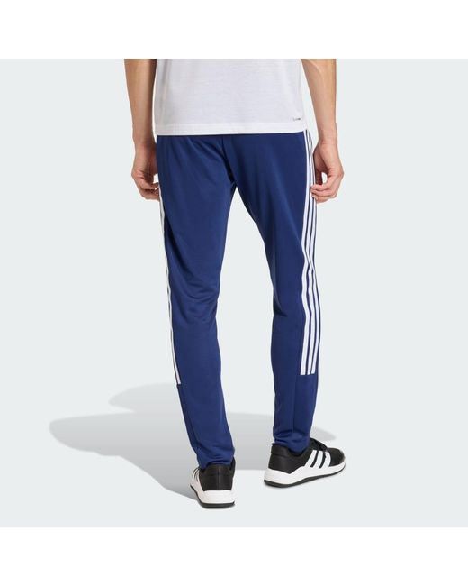 Adidas Blue Workout Essentials All-Set 3-Stripes Knit Pant for men