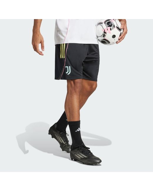 Adidas Black Juventus Tiro 25 Competition Training Shorts for men