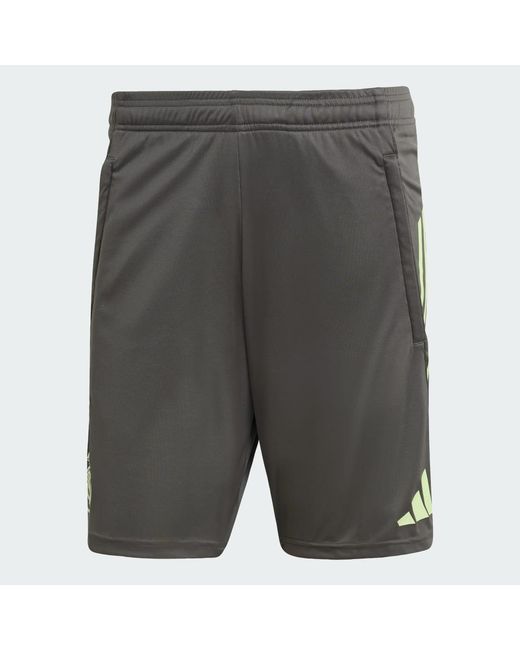 Adidas Gray Real Madrid Tiro 25 Competition Training Shorts for men