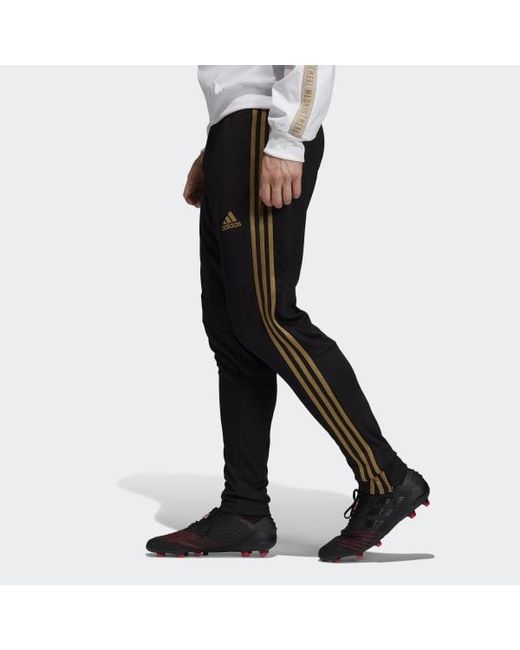 adidas pants real madrid