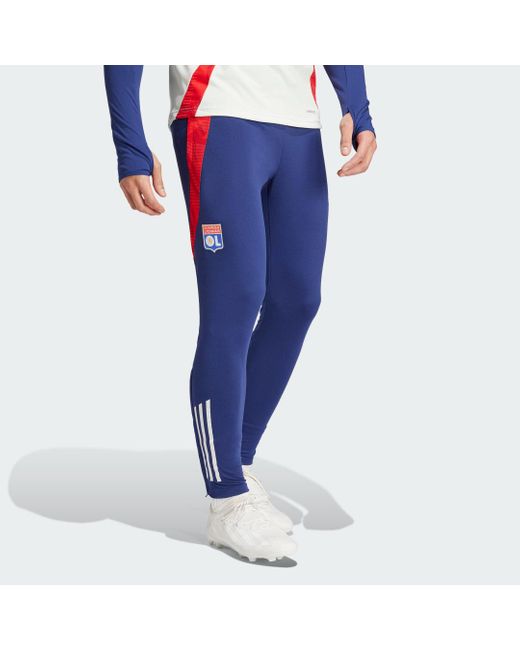 Adidas Blue Olympique Lyonnais Tiro 24 Training Pants for men