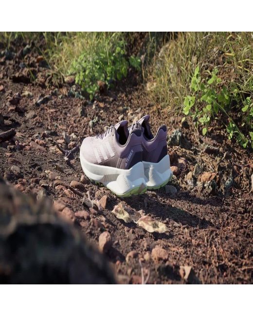 Adidas Purple Terrex Soulstride Flow Trail Running Shoes