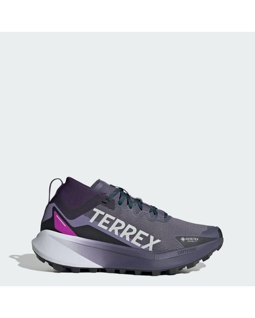 Adidas Blue Terrex Agravic Gtx Trail Running Shoes