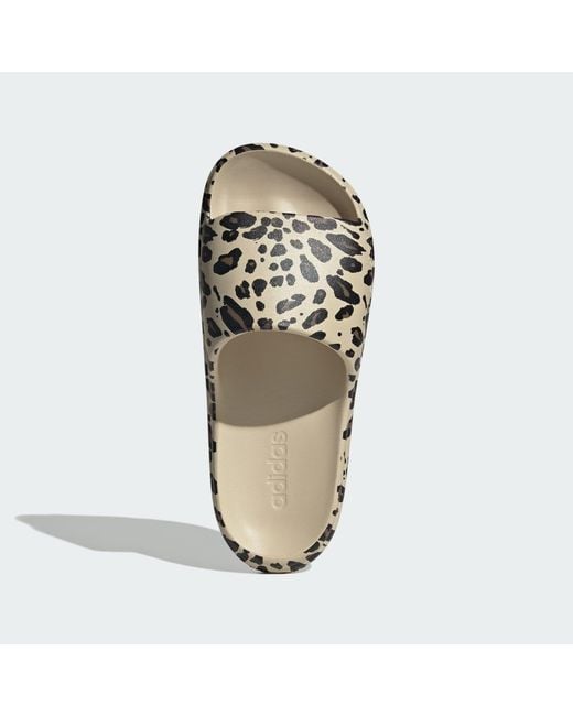 Adidas Multicolor Adilette Lumia Slides