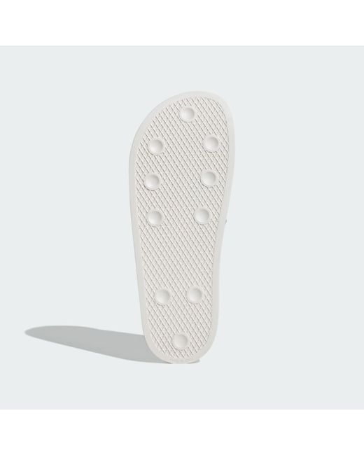 Adidas Multicolor Trefoil Slide