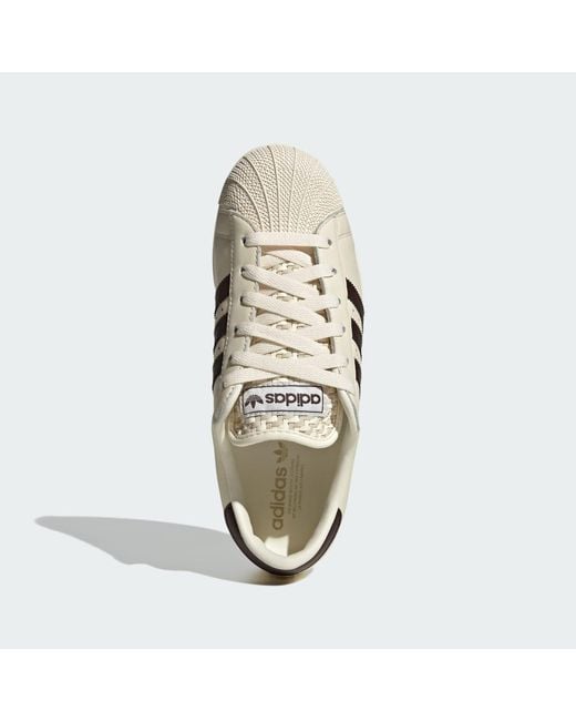 Adidas Multicolor Superstar Lo Pro Shoes