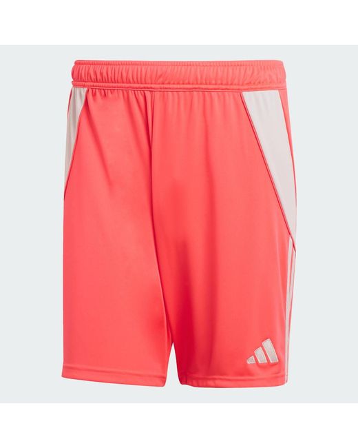 Adidas Red Tiro 24 Shorts for men