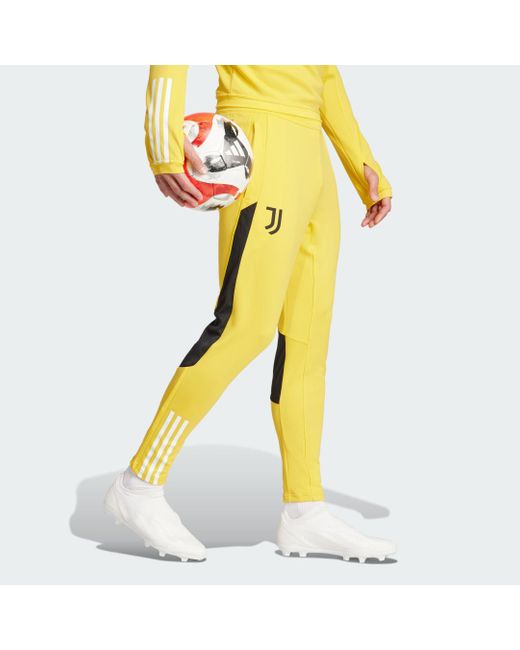 Adidas Yellow Juventus Tiro 23 Training Tracksuit Bottoms for men