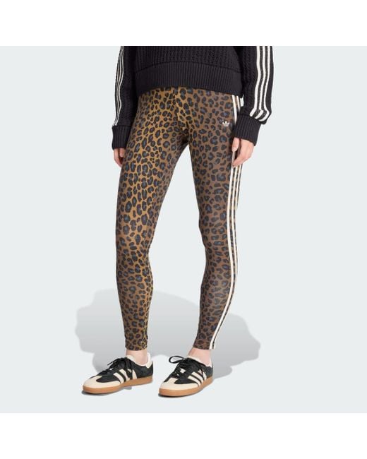 Adidas Brown Leopard 3-Stripes Legging
